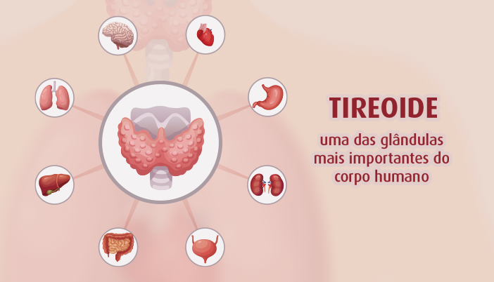 tereoide a glandula mais importante do corpo